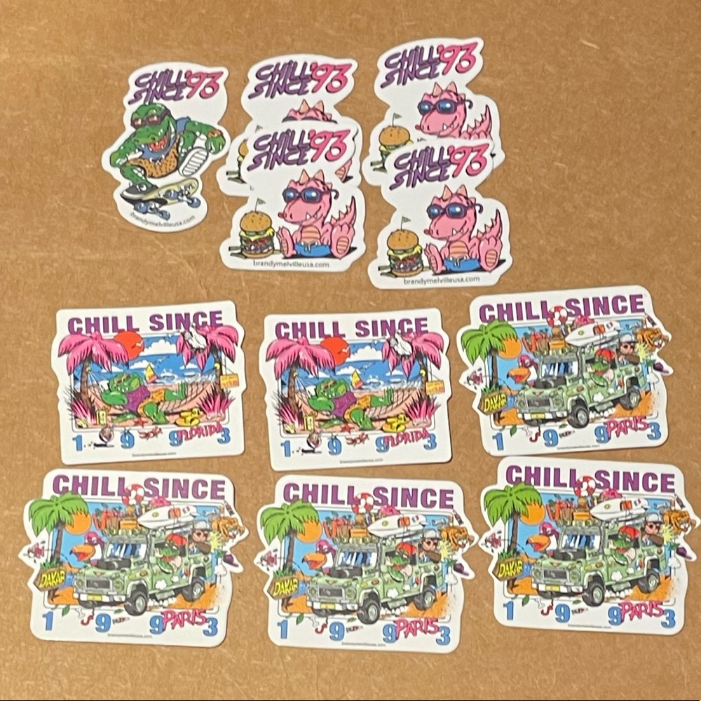 Brandy Melville Stickers 11x